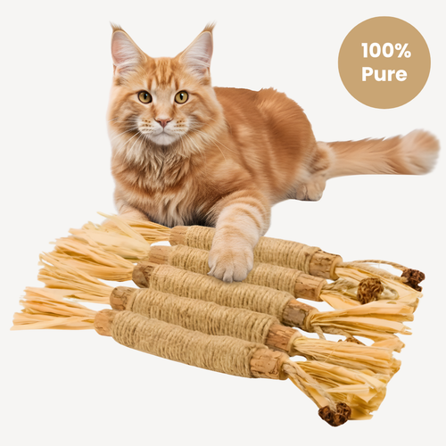 Auriel® PureStick Kedi Çubuğu